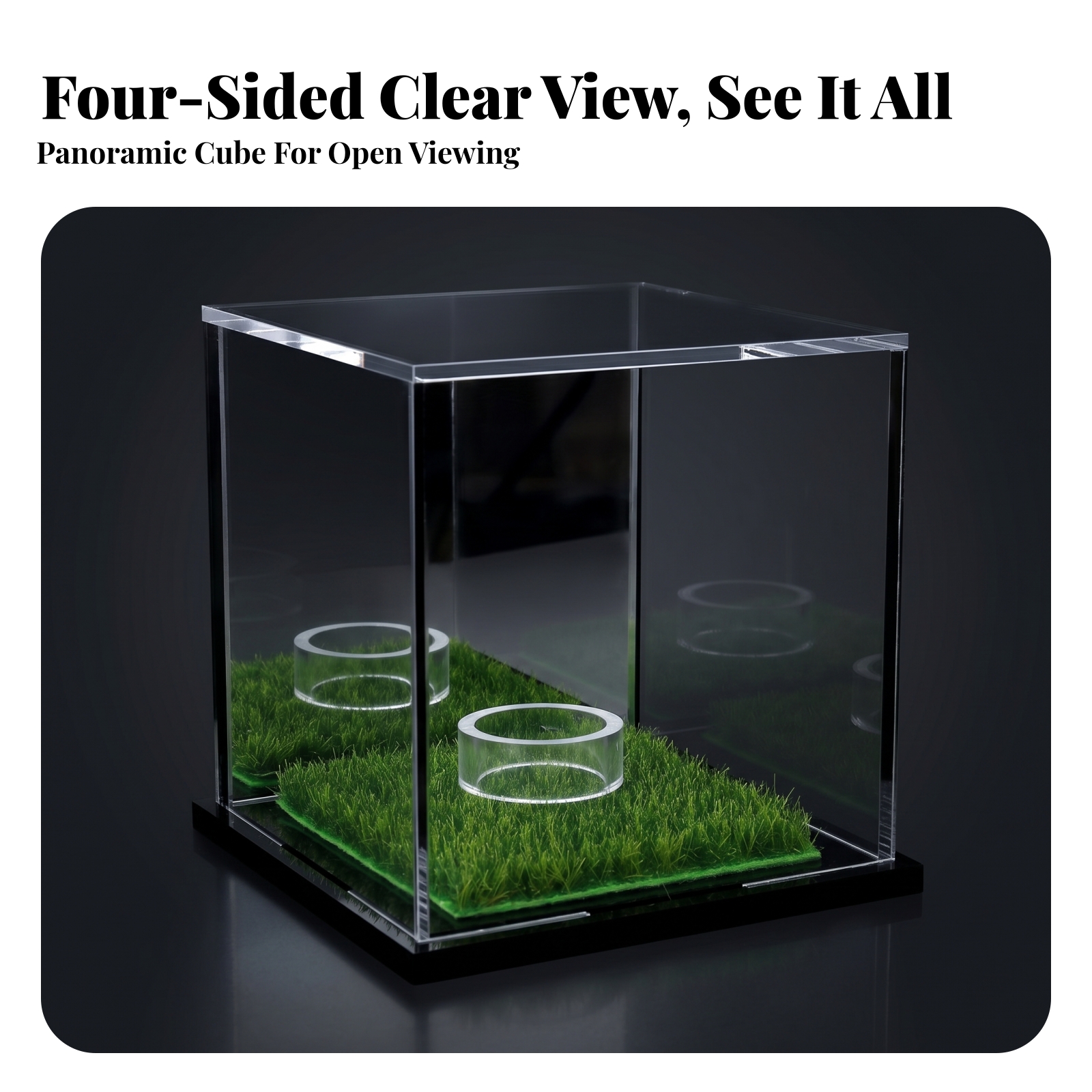 Acrylic Display Case Easy to C - Display Case Acrylic ulasan dan harga
